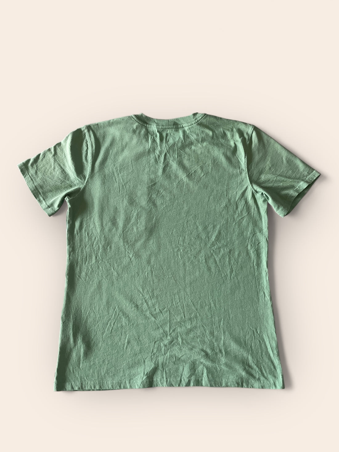 Carhartt Green Tshirt (M)