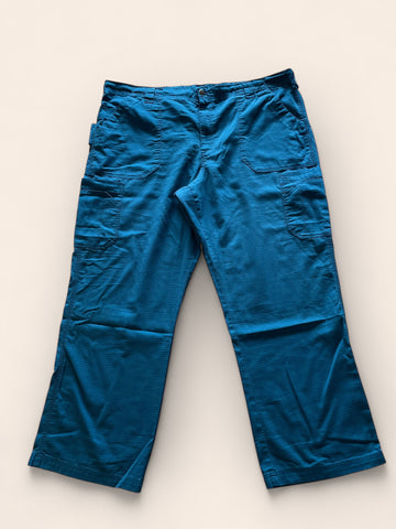 Carhartt Turquoise Cotton Pants (2XL)